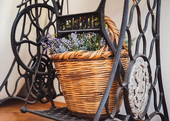 Appartement Spinut Urban Retreat *